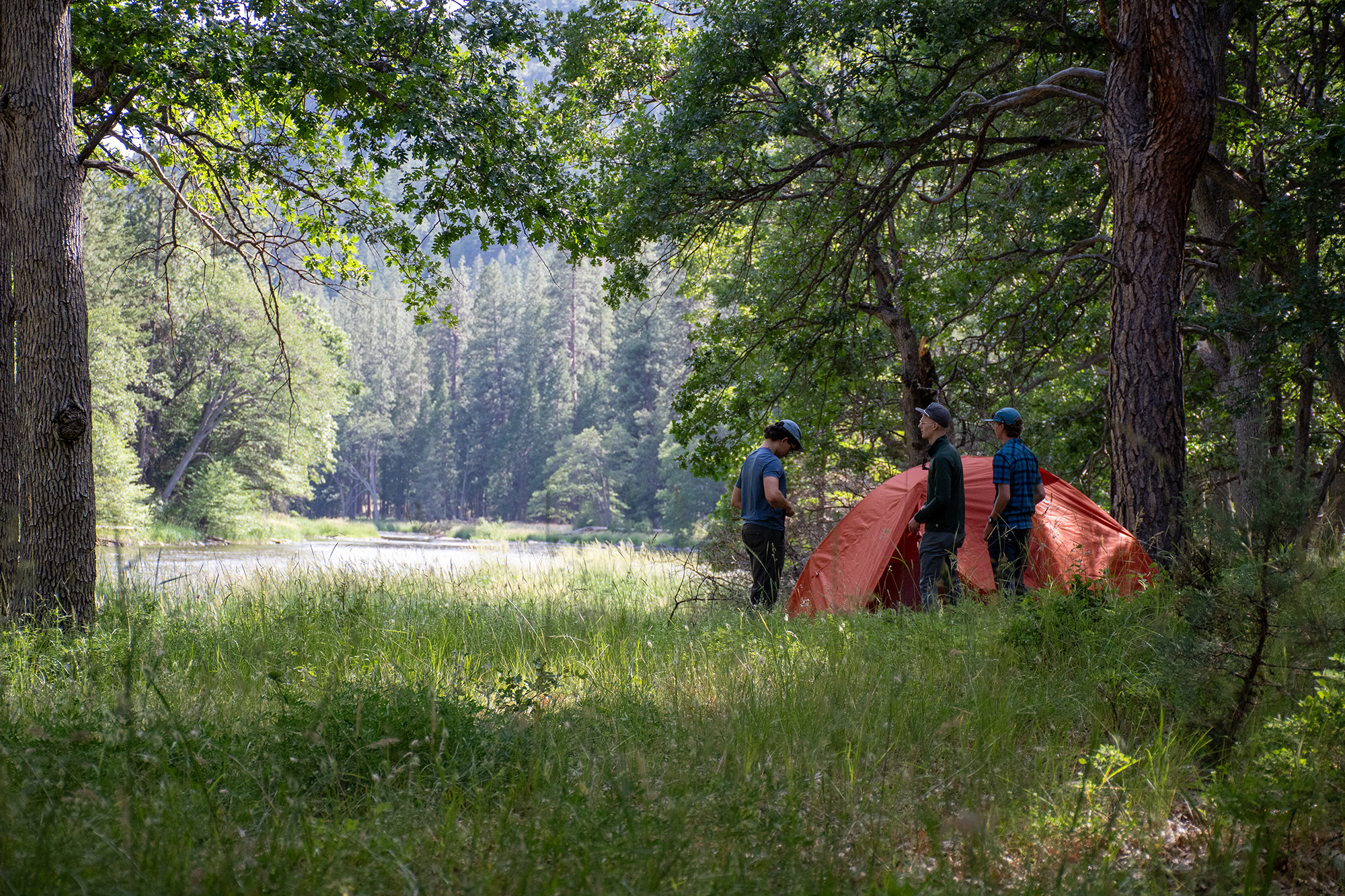 campers in front of tent in forest