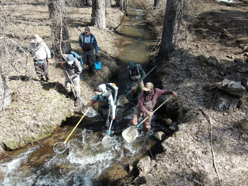 efishing science monitoring