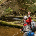 tongass national forest alaska roadless area fishing