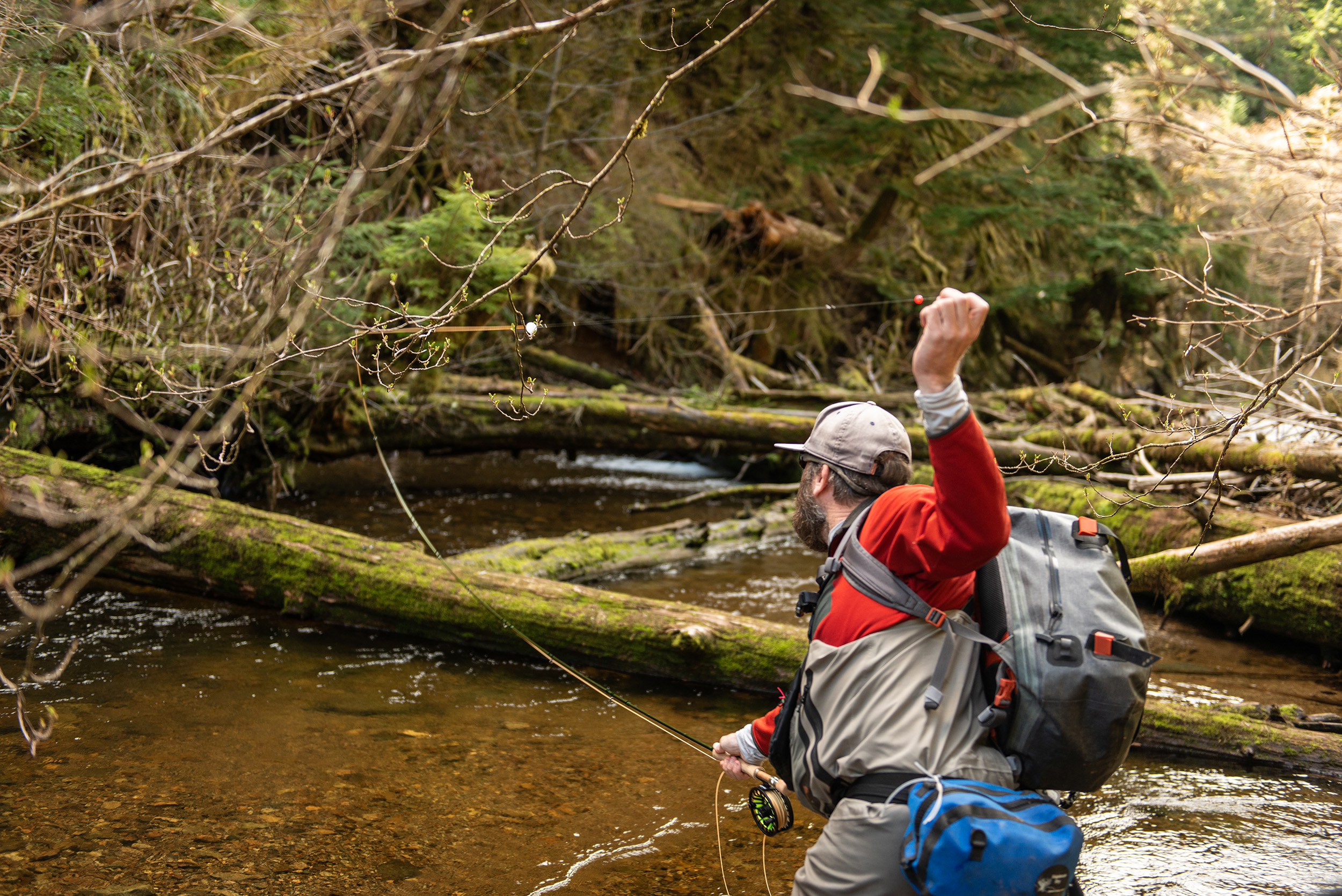 tongass national forest alaska roadless area fishing