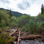 helicopter working on logjam owl creek